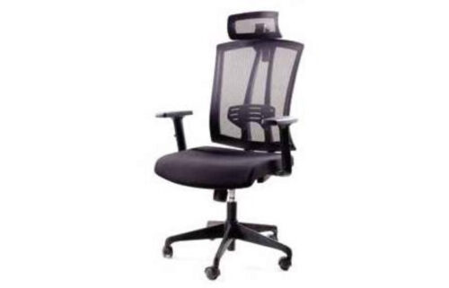 Glory Mesh Executive Chair