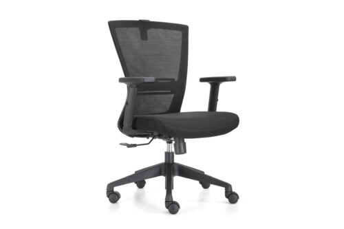 Rover Mid Back Office
