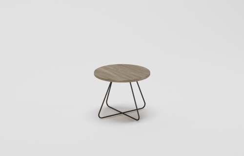 Fossil Coffee Table