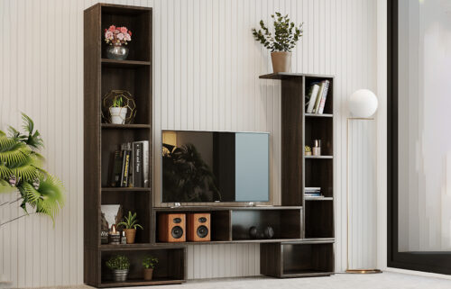 Orion TV Unit